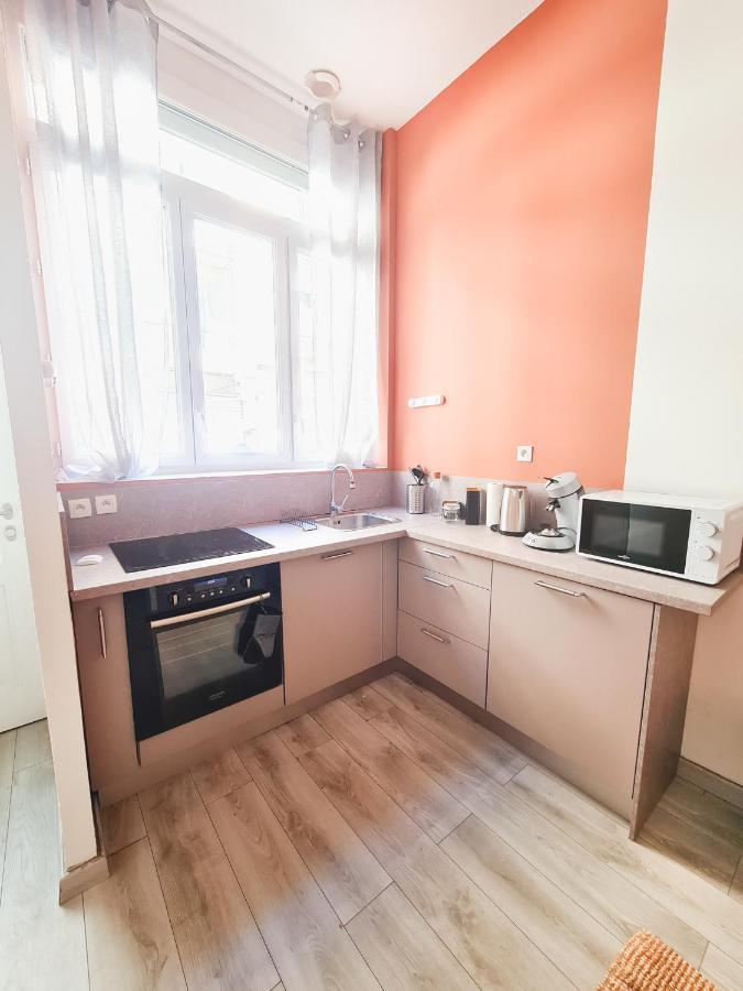 Le Zola - Appartement Spacieux - Гренобъл Екстериор снимка