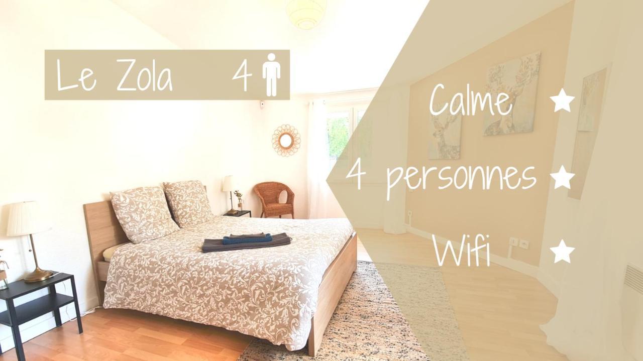 Le Zola - Appartement Spacieux - Гренобъл Екстериор снимка